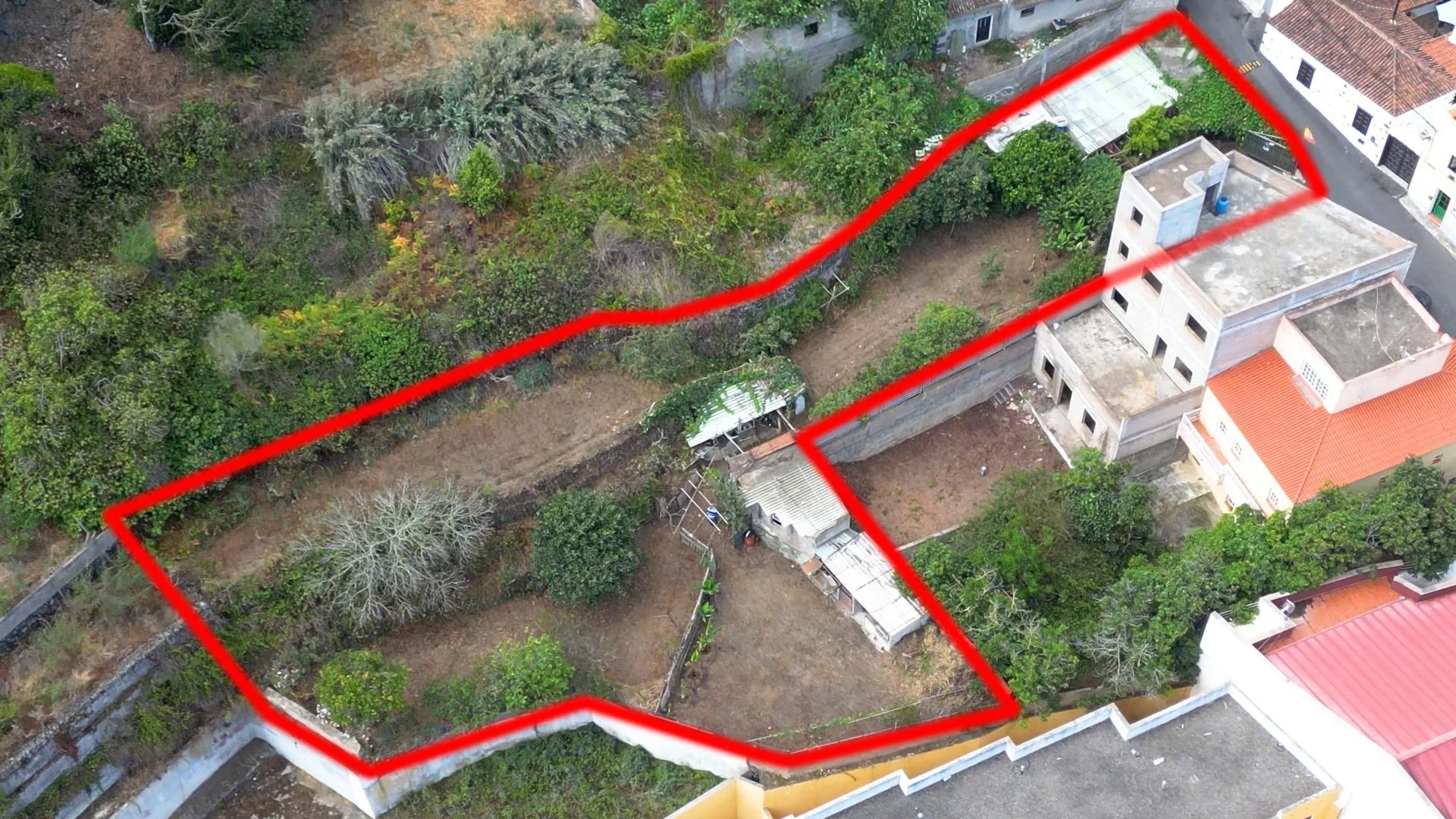 ? Finca en San Juan del Reparo  Tenerife