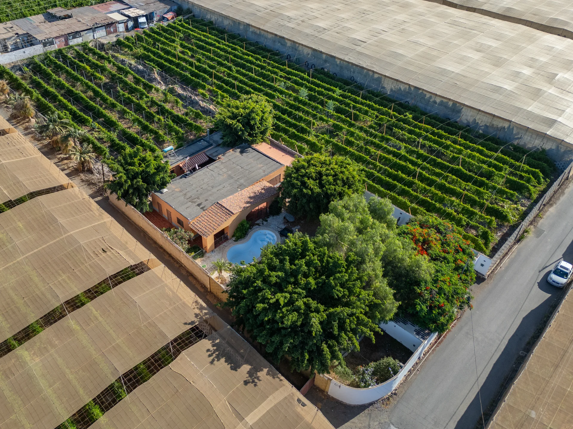 Amplia vivienda unifamiliar con piscina y parcela privada en Las Rosas, Arona