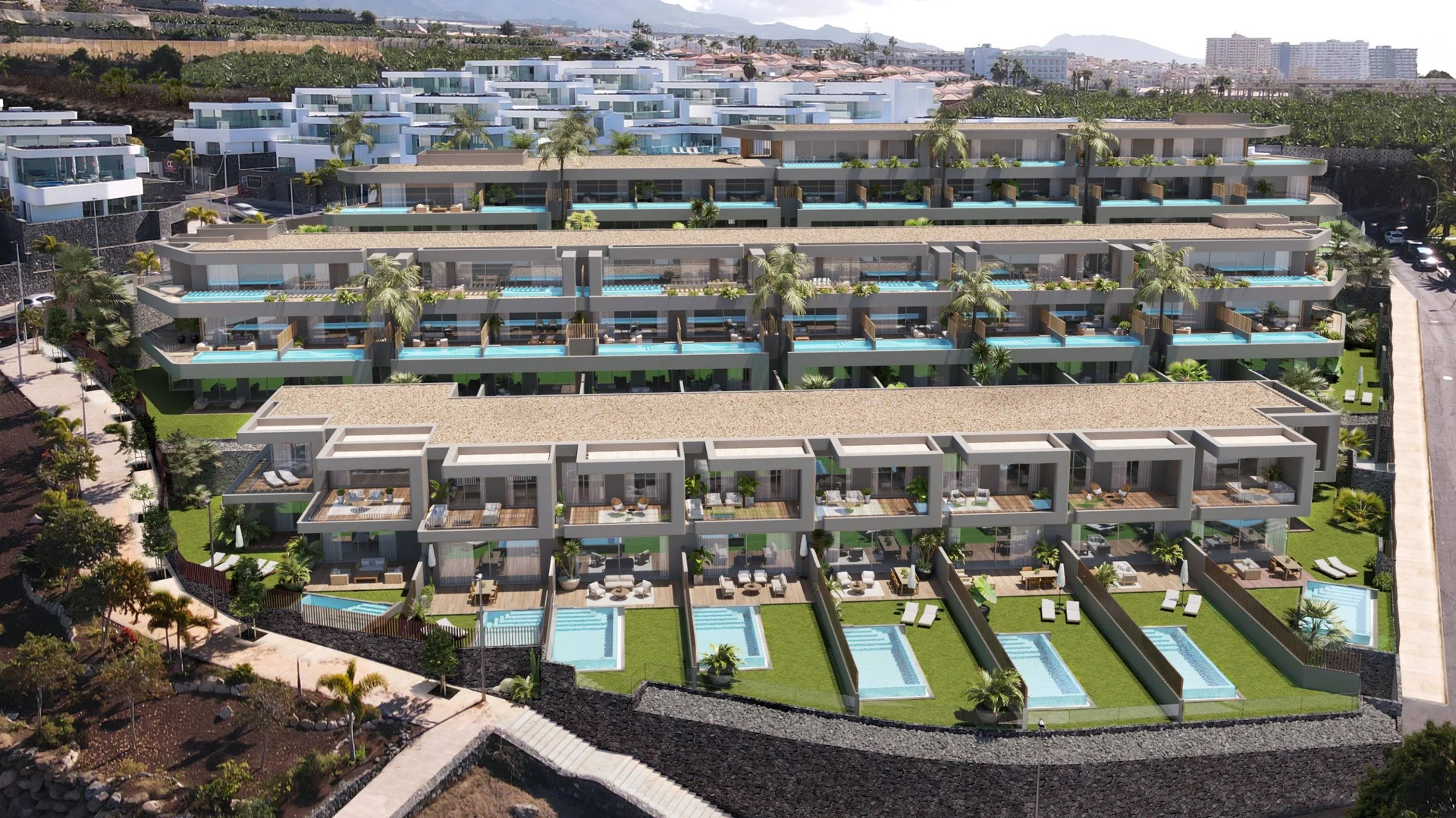 Amoenus Project